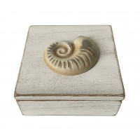 6992 - White Ammonite Box