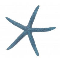 4019B - Blue Pointer Starfish 