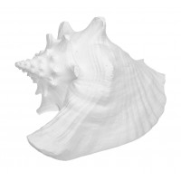 7713 - Resin Conch Shell