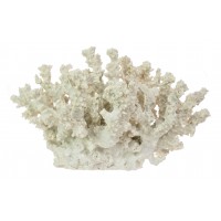 7626 - Resin Coral