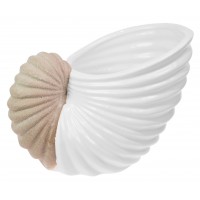 5851 - Ceramic Ammonite Vase