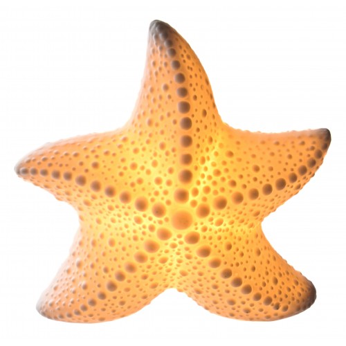 Stea de Mare din Portelan cu Iluminare – 14 x 14 x 7 cm [1]