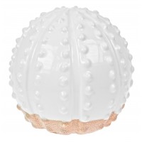 5868 - Ceramic Urchin