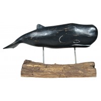 7601 - Small sperm whale