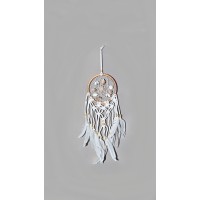 2504 - Dreamcatcher with Shells - 12cm