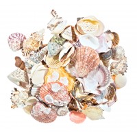 4327-MIX - Beach Mix