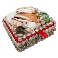 4313L - Large Shell Jewellery Boxes