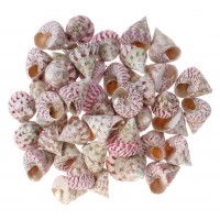 4327-STRAW - Strawberry Trocha