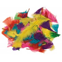 3303M - Multi Coloured Feathers