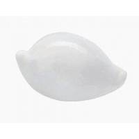 4087 - Ovula Ovum / Egg Cowrie