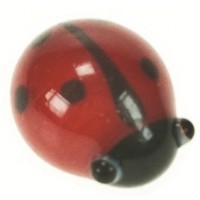 5060 - Glass Ladybirds