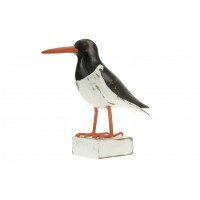 7586 - Single Oystercatcher