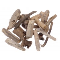 7813 - Beach Driftwood Pieces